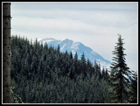 Mt. Rainier From Rattlesnake Mountain