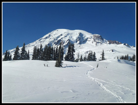 Mt. Rainier From Mazama Ridge