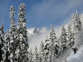 Fresh Snow On The Snow Lake Trail