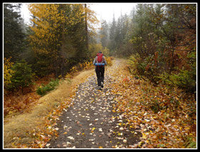 Bevercly Creek Road