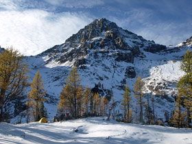 Black Peak & Larch Trees