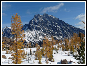 Larch Frame Mt. Stuart