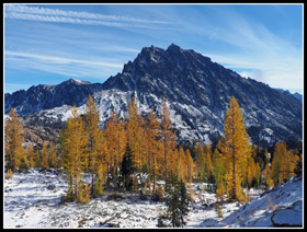 Ingalls Larch & Mt. Stuart