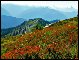 View From The Summit Of Boulder Peak