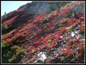 Fall Colors On Mt. David