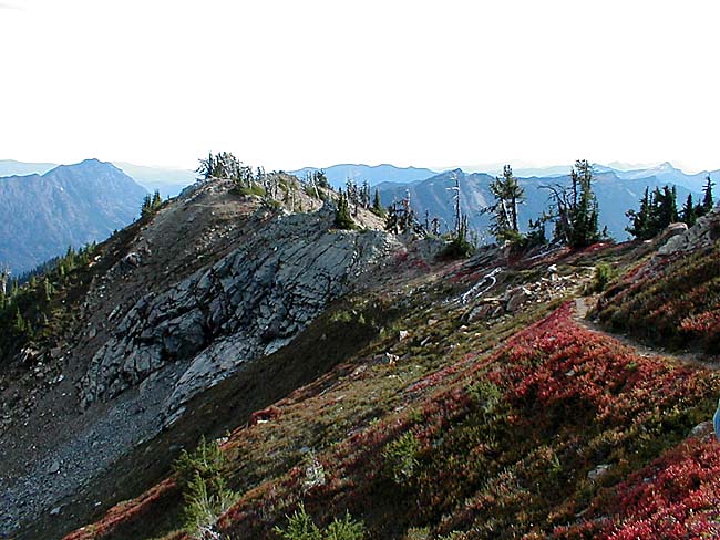 Ridge Colors