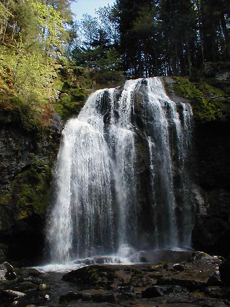 Front View Of Little Mashel Falls