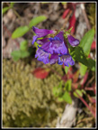 048