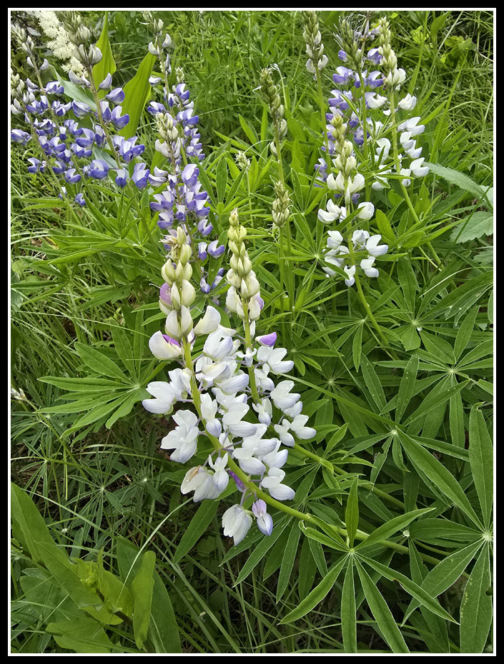 032