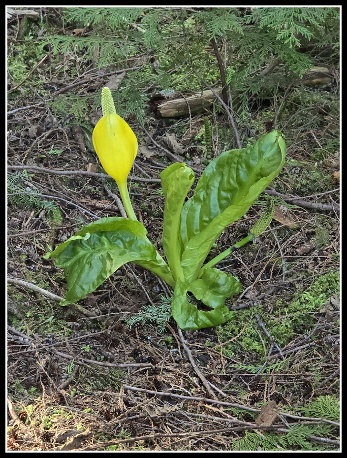 033