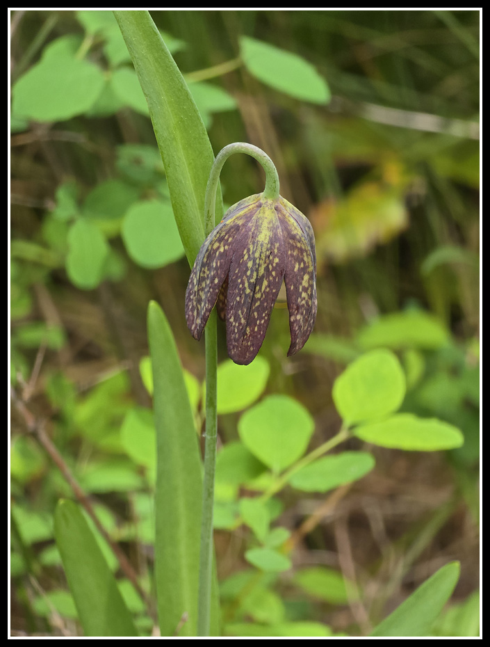 139